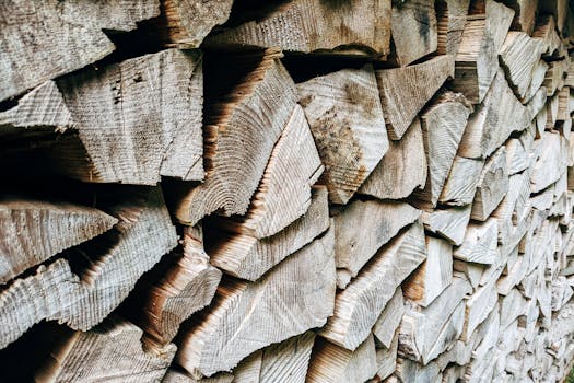 Tipy pro Úsporné a Ekologické Vytápění Domova v Zimě