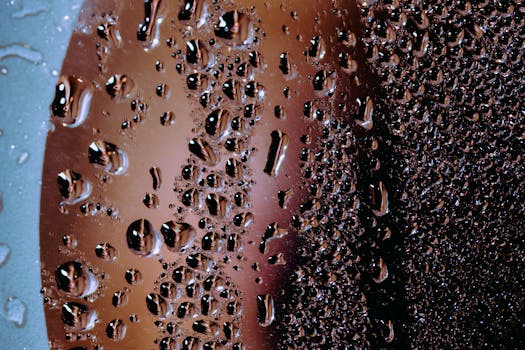 Efektivní regulace vlhkosti v bytě: Přírodní metody a tipy